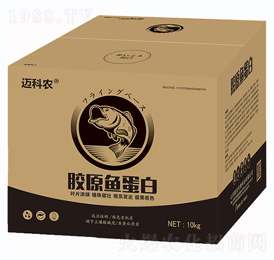 �zԭ�~����-�~���r(n��ng)-�Έ�����