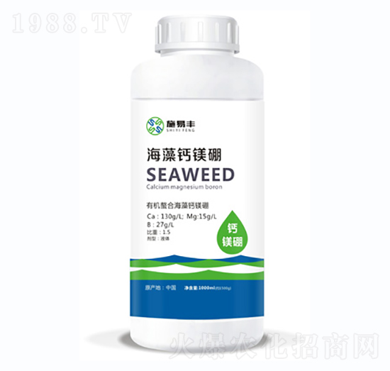 �����}�V��-ʩ���S