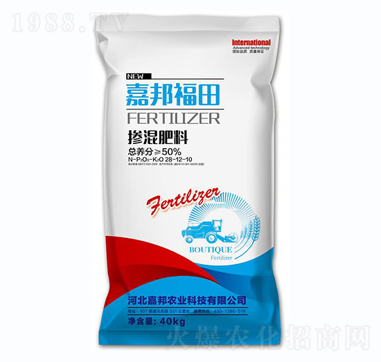 �������28-12-10-�ΰ��-�ΰ��