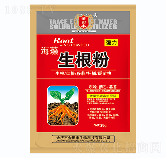 ����������-�����S