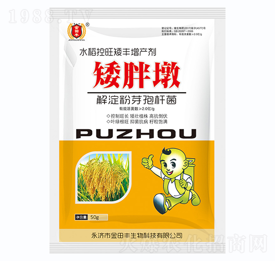 С����������-������-�����S