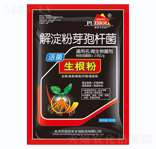 �����ѿ�ߗU��-���������-�����S