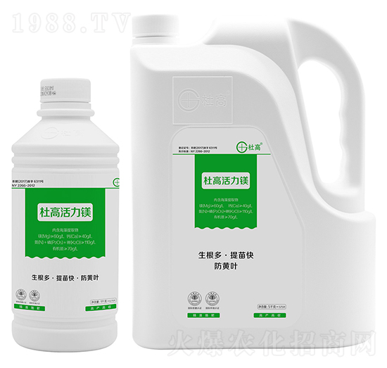 �����V-�Ÿ�