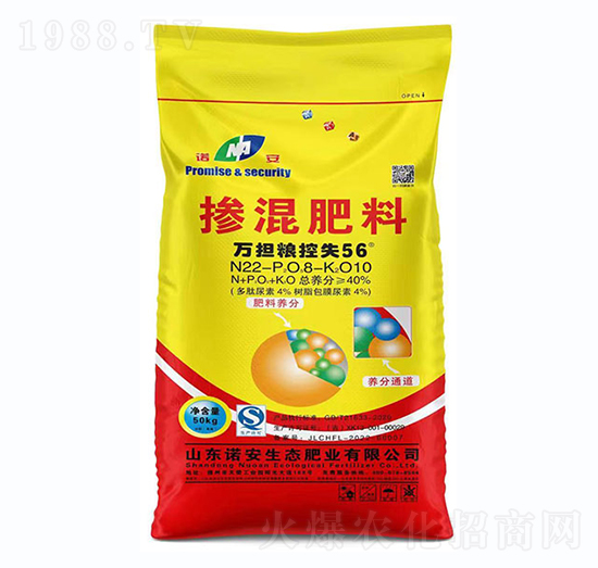 �������-�x¡�ʘI(y��)