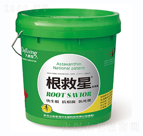 ������-�����