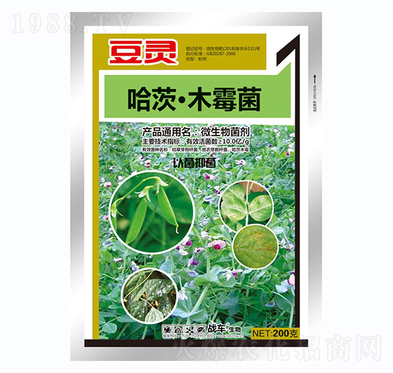 ����ľù��-���`-��(zh��n)܇(ch��)