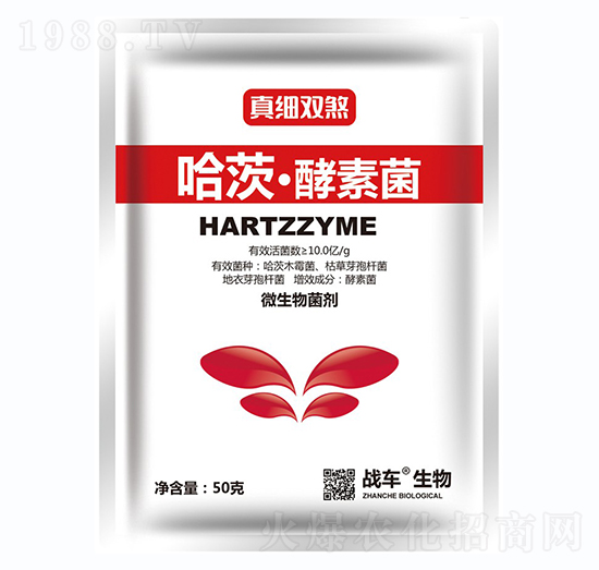 ���ġ����ؾ�-�漚�pɷ-��(zh��n)܇