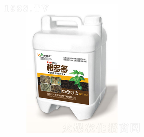 �����-�ֿ��S