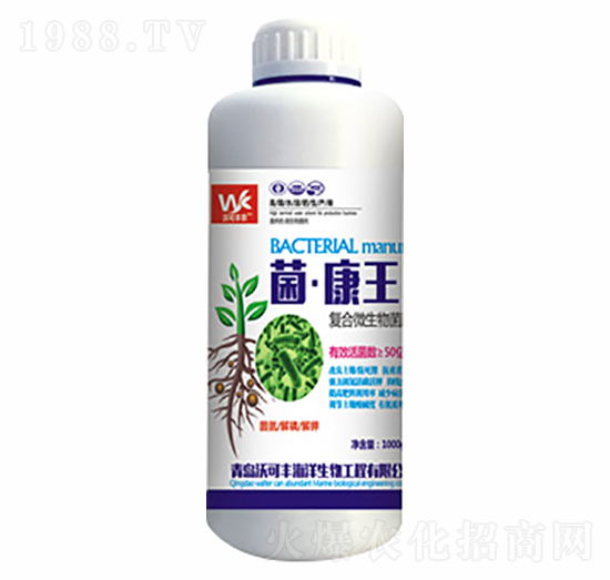 ������-�ֿ��S