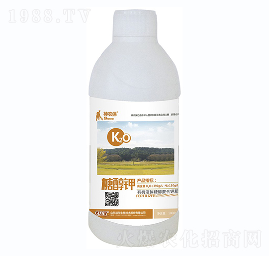 �Ǵ��-��(zh��n)܇(ch��)