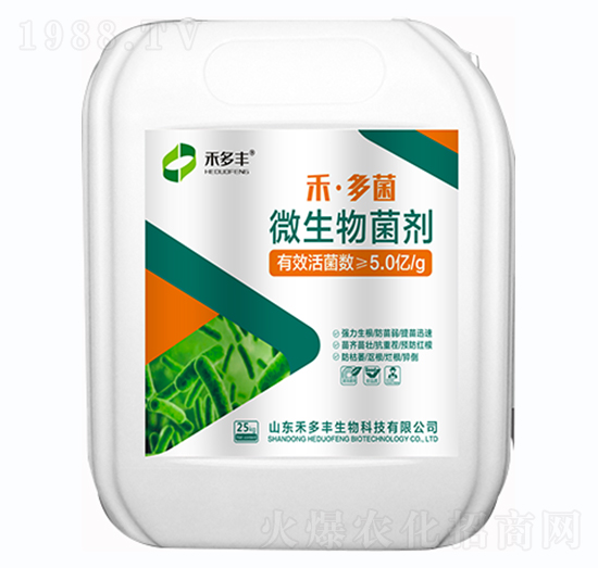 ΢�������-�̶��-�̶��S