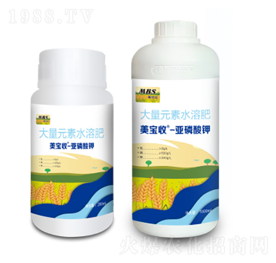 �������-������-�M(m��n)������