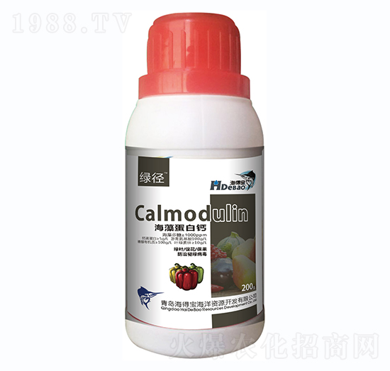 ���嵰���}-���Ì�-���r��