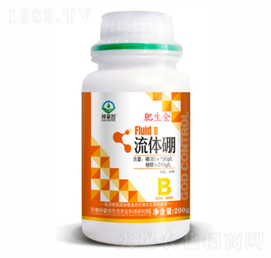 ���w��-������-���ƿ�