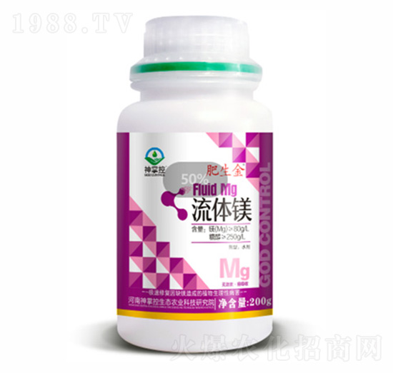 ���w�V-������-���ƿ�