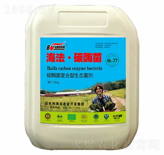 ̼ø��-������