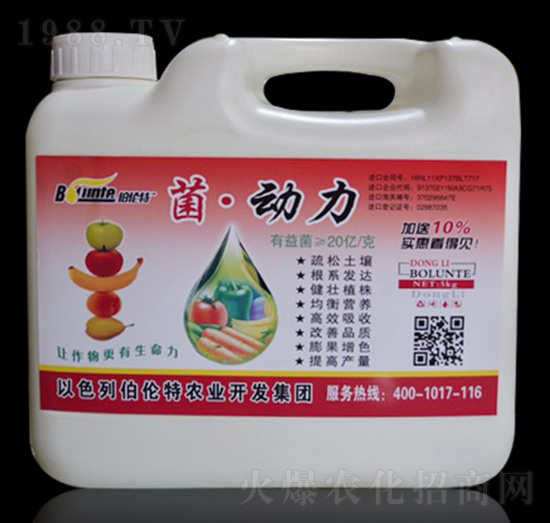 ������-������