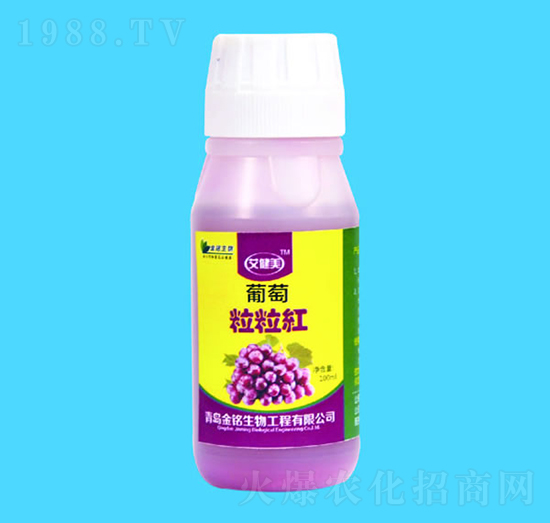 ���������t-�������