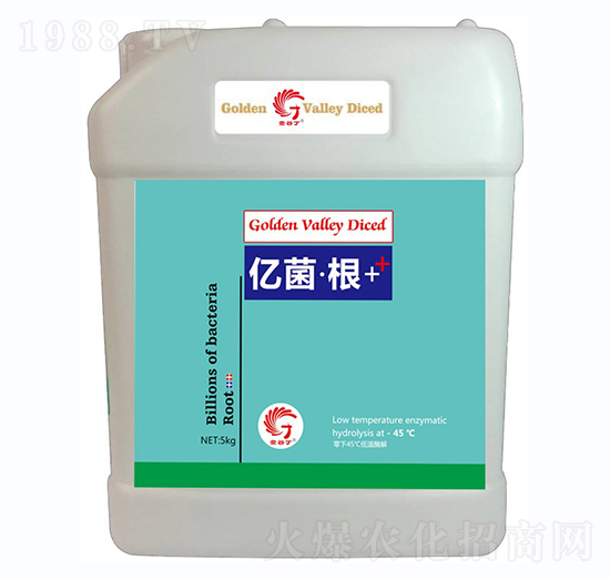 �|������-��ȶ�