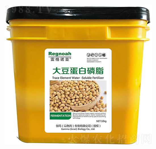 �׸��Z�����󶹵�����֬-��ȶ�