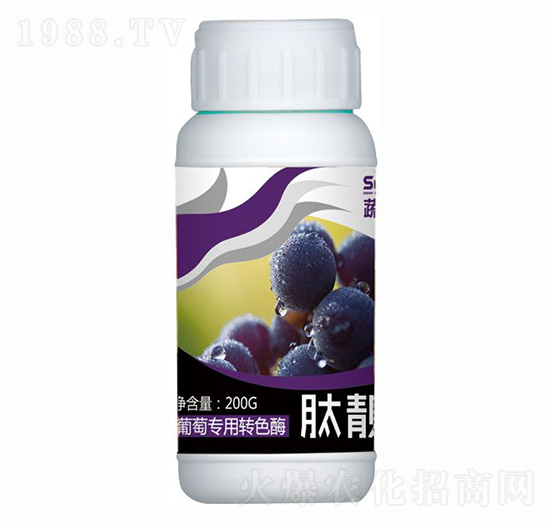 ���ь�(zhu��n)���D(zhu��n)ɫø-���n��-������