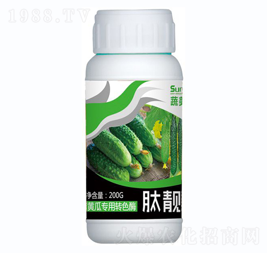 �S�ό����D(zhu��n)ɫø-���n��-������