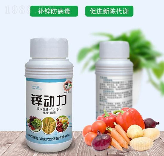 �\��(d��ng)��-���r(n��ng)��(gu��)��