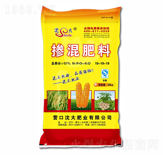 �������19-19-19-���ʘI(y��)