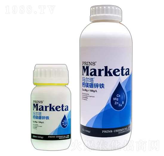 �}�V���\�F-������-Ӣ������˹