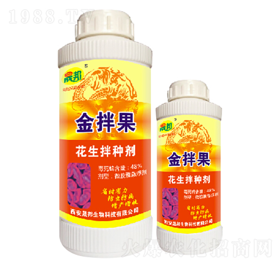 ������N��-����-�ɰ�����