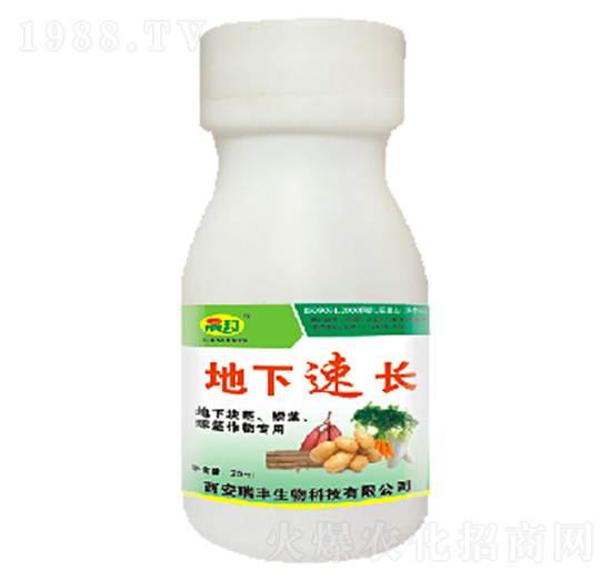 �������L-�ɰ�����