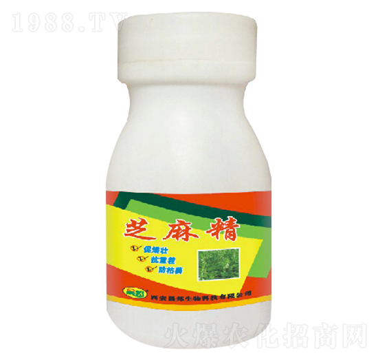 ֥�龫-�ɰ�����