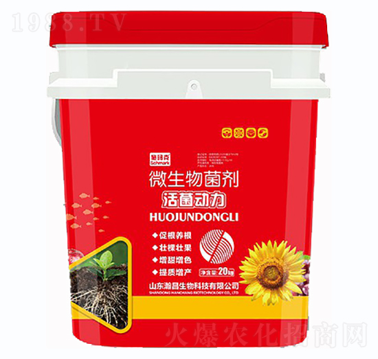 ���������΢�������-ʩ����-嫲�����