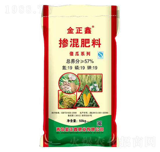 �������19-19-19-������