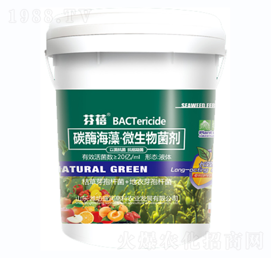 ̼ø���塤΢�������-����-ʢ���߿�