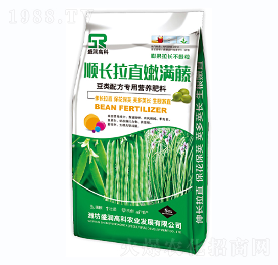 ��L��ֱ�۝M��-ʢ���߿�