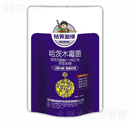 ����ľù��-���Sӯ�G������-ʢ���߿�