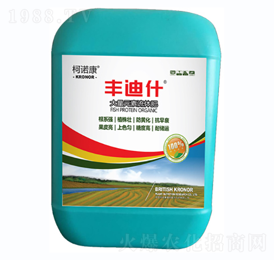 ����Ԫ�����w��-�S��ʲ-�|�Ҙ�