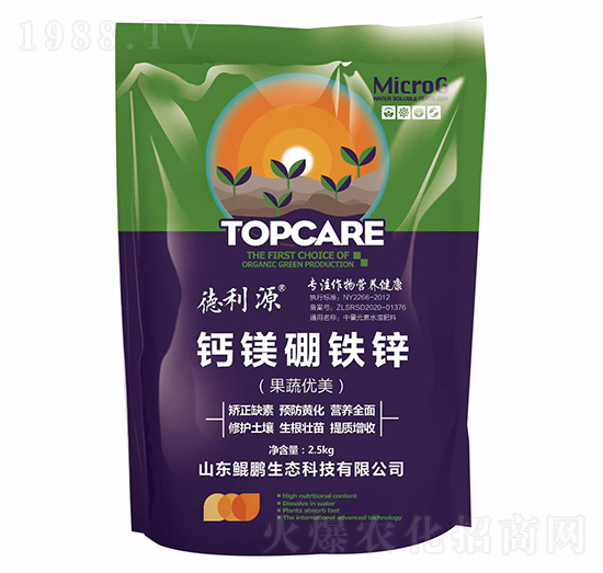 �}�V���F�\-�H�i���B(t��i)