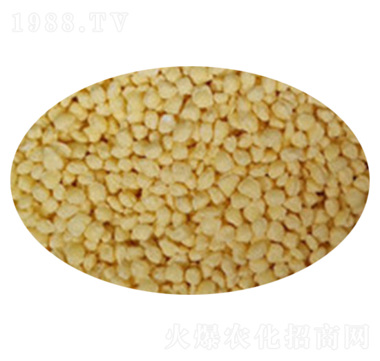 �w���͔D����ɒ��A�Ȼ��@-���r����