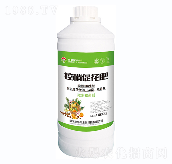 ���Ҵٻ���-ʩ�۸�