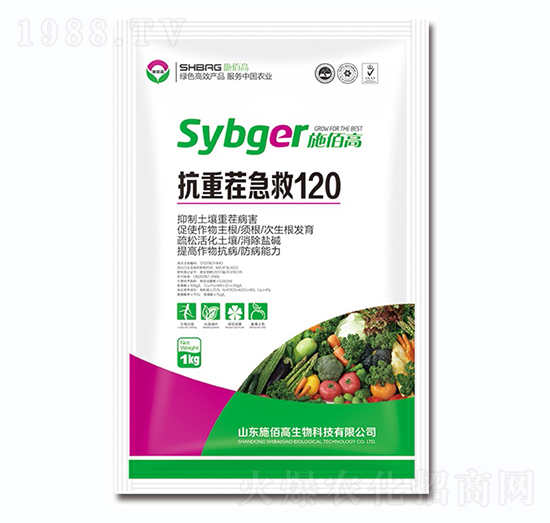 ���ز缱��120-ʩ�۸�