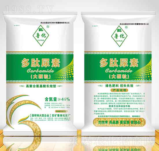 ���Ĵ��w������-�������(y��ng)��