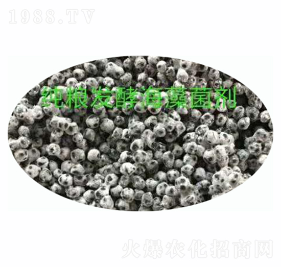 ���Z�l(f��)�ͺ������-ʩ����