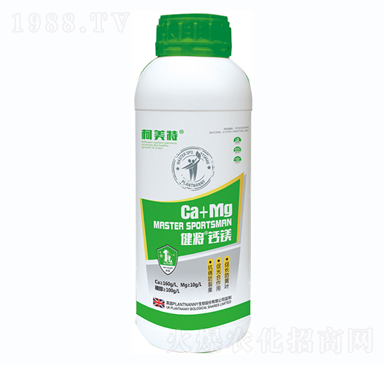 �������}�V��ƿ��-������