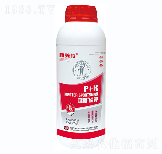 ���������-������