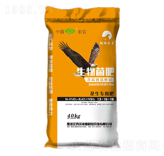 ���������������13-16-16-�����r(n��ng)�I(y��)