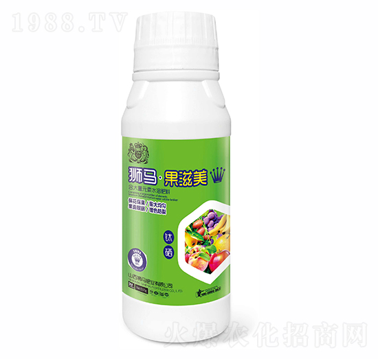 �{�R������500g-�{�R�ʘI(y��)