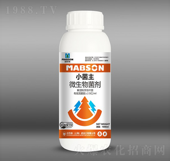 С����΢�������-�~��ɭ