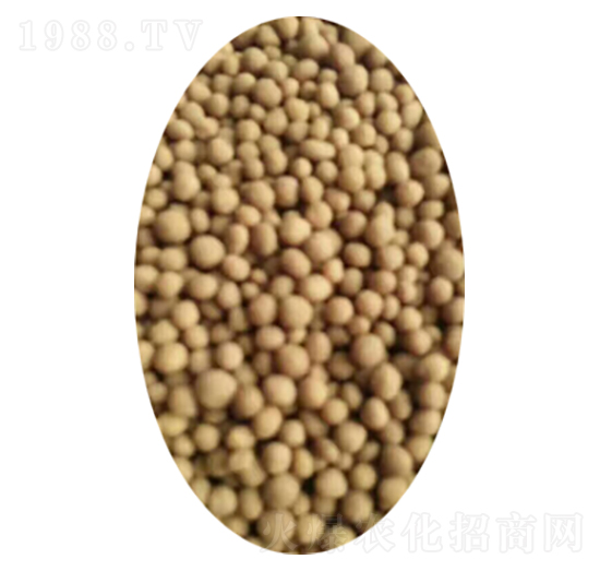 �����w��-��������